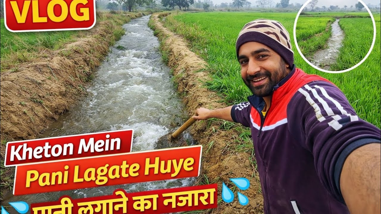 आज के व्लॉग में देखिए कैसे खेतों में पानी लगाया जाता है और गाँव की असली ज़िंदगी का नज़ारा 🚜🌱