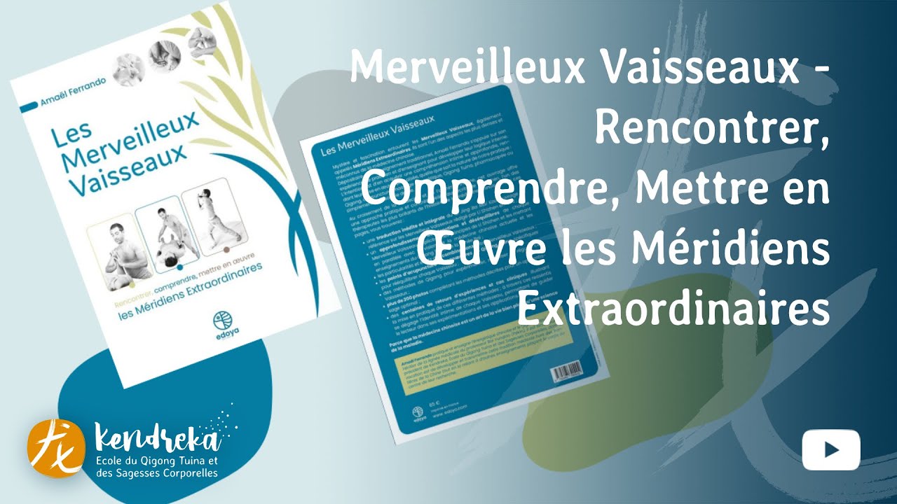 Merveilleux Vaisseaux - Rencontrer, Comprendre, Mettre en Œuvre les Méridiens Extraordinaires