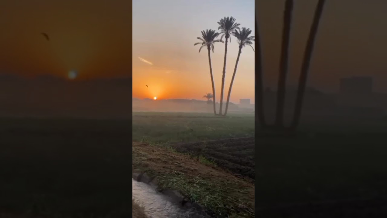 الشيخ صالح ابوكيلان.السلامي. رحمه الله. دقات قلب المراء قائلاً له ان الحياة دقائق وثواني