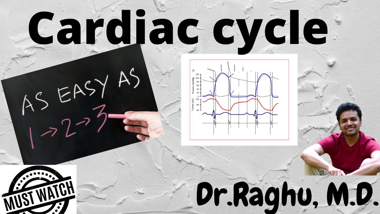 The Cardiac Cycle | Events | Pressure & Volume changes