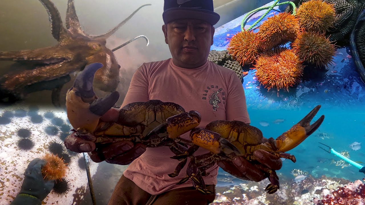 BUCEO EXTREMO | Extracción de ERIZOS y CANGREJOS en las Profundidades