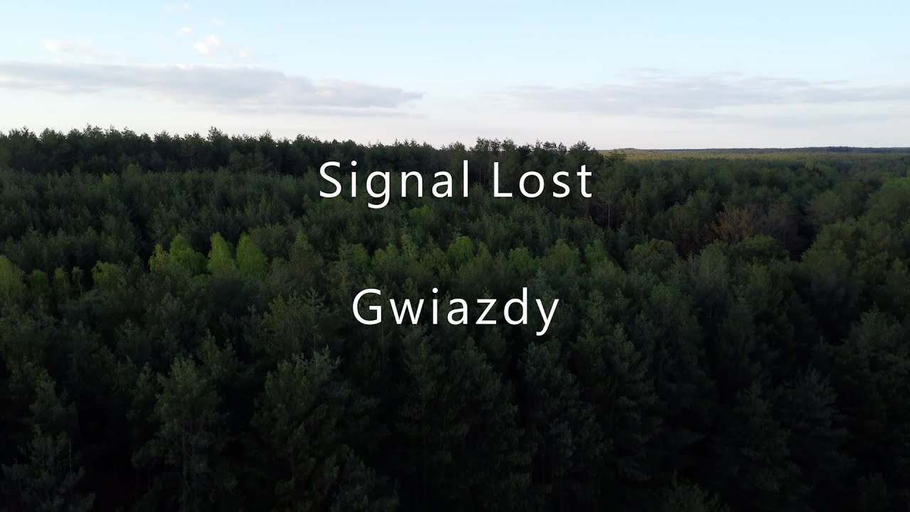 Signal Lost - Gwiazdy