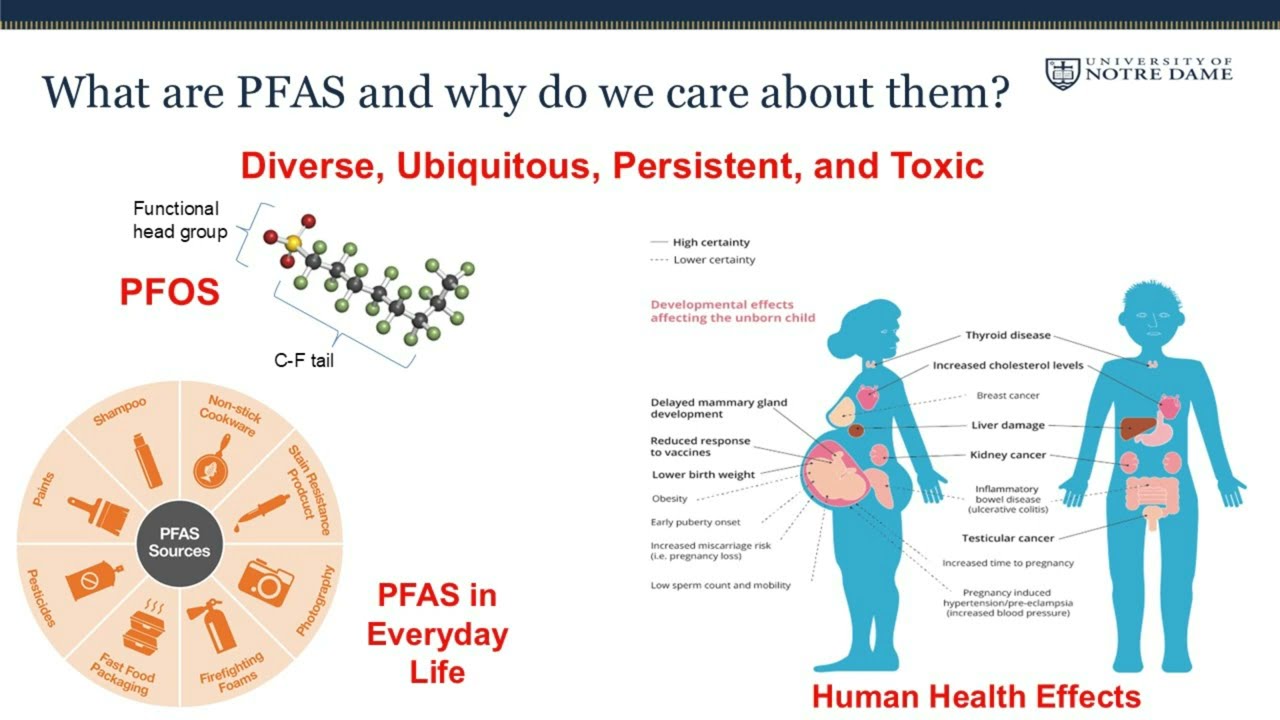 PFAS Contamination in Lake Michigan Tributaries and Fisheries