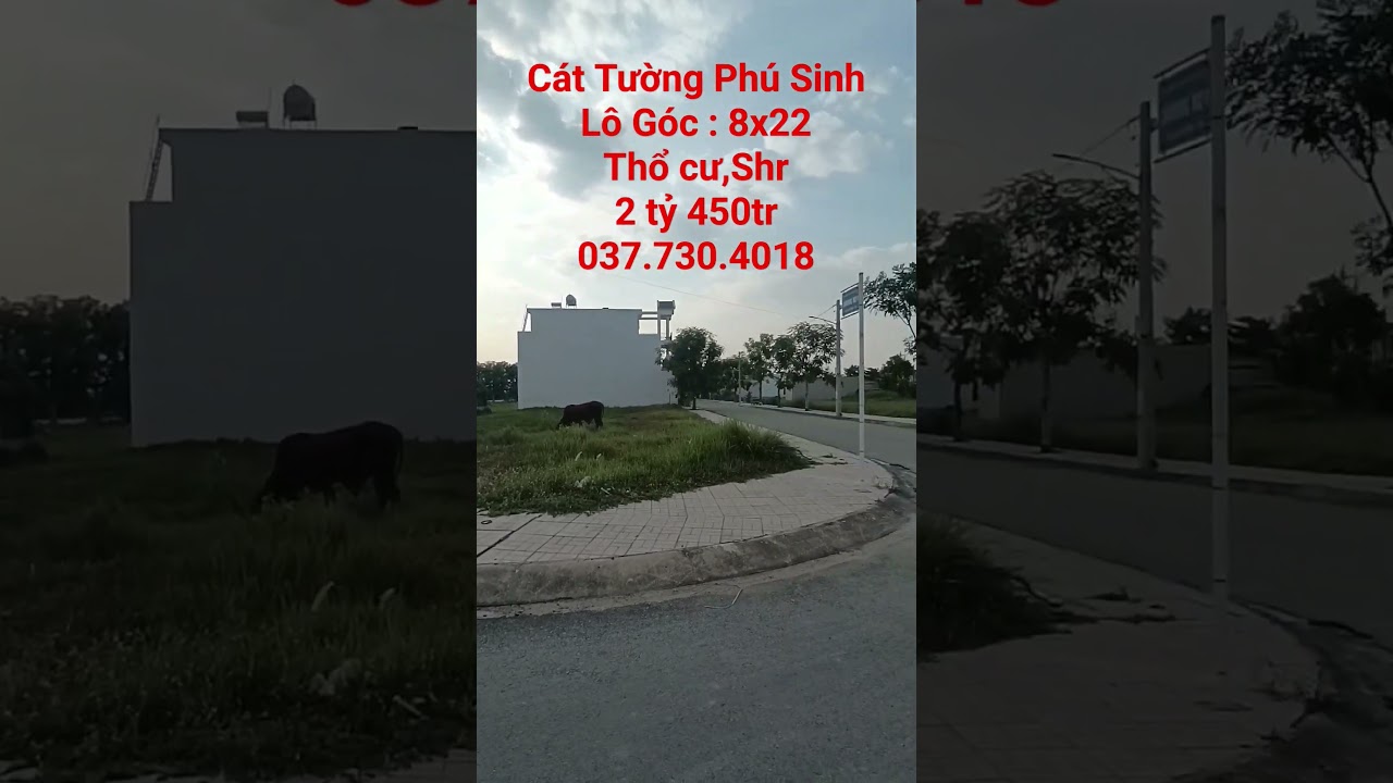 Cát Tường Phú Sinh Lô Góc 8x22 