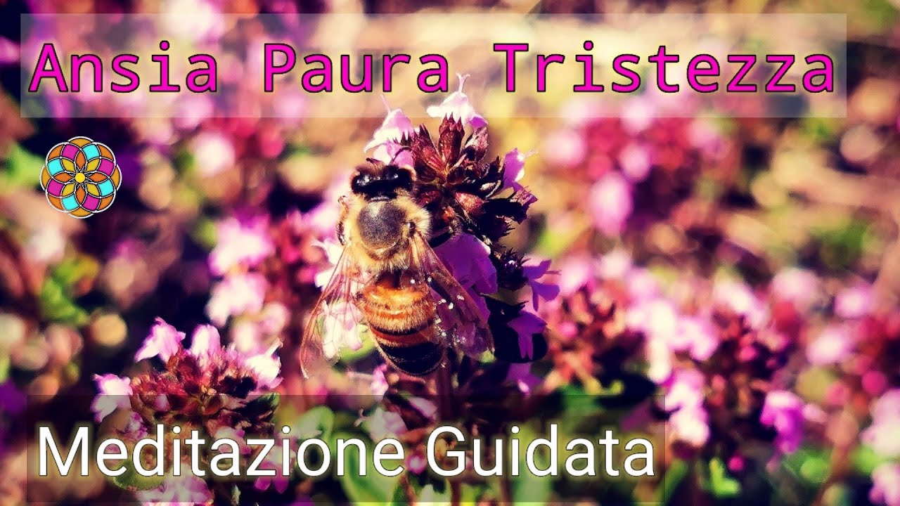 MEDITAZIONE GUIDATA ITALIANO - I Segreti dell'albero della vita - Paura Ansia Tristezza