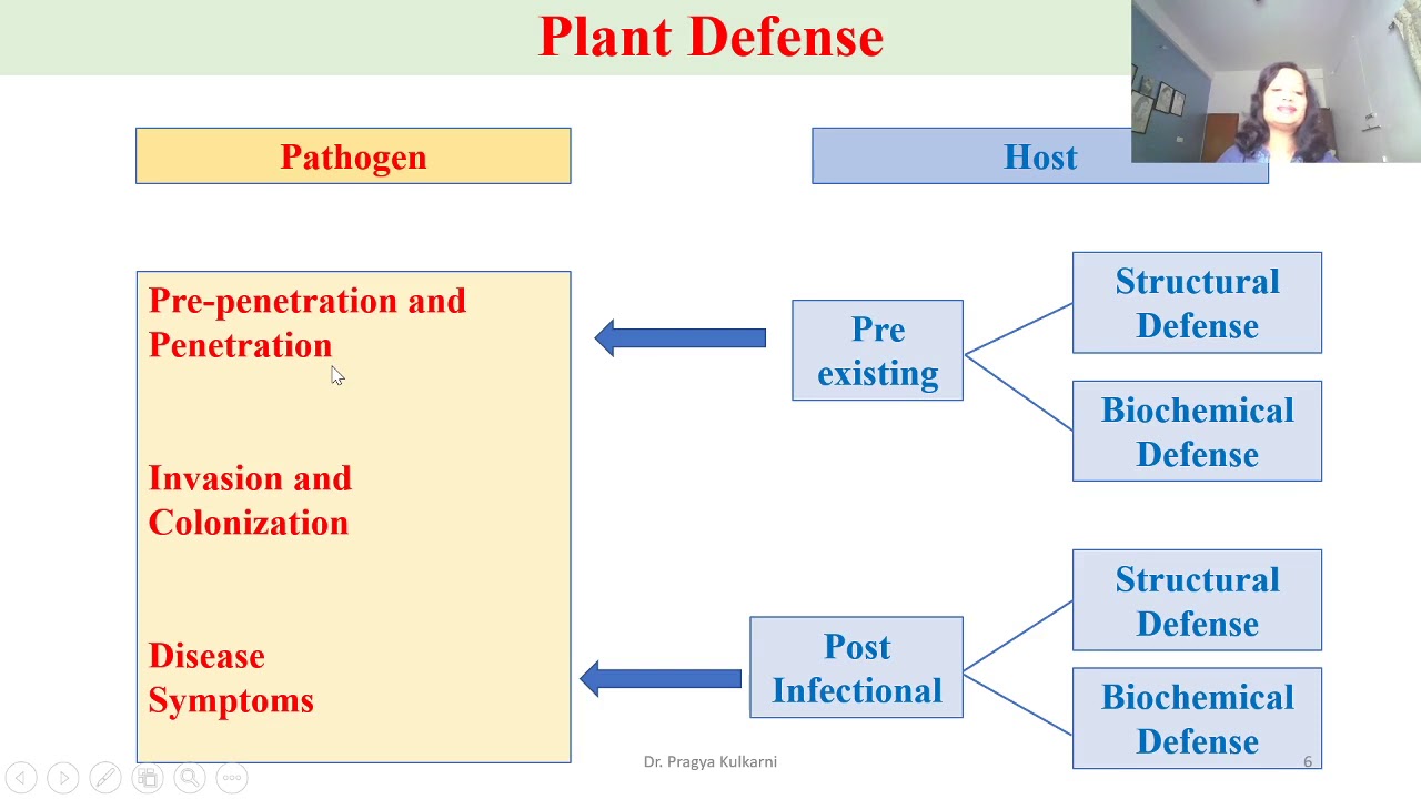 Defense Mechanism in Plants
