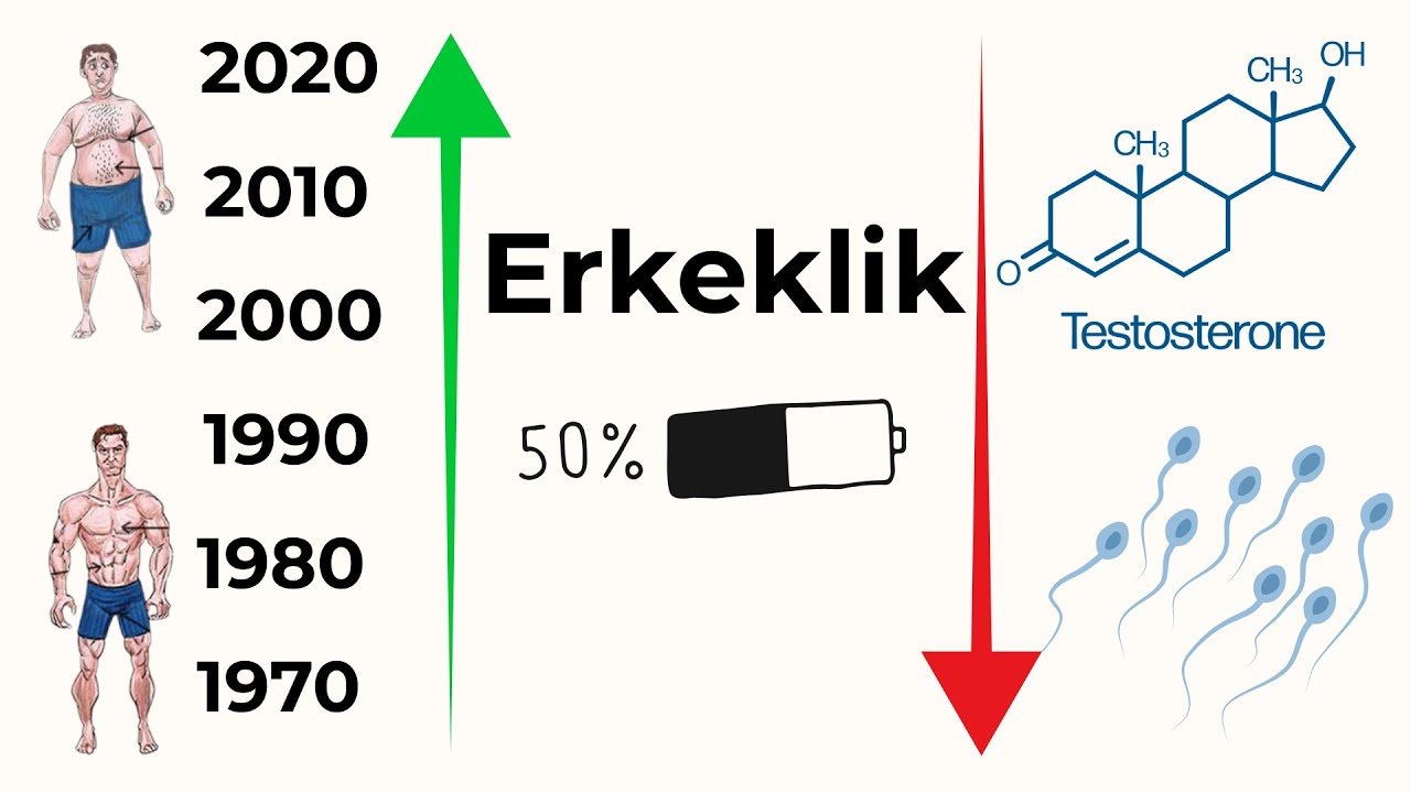 Testosteron ve spermler son 50 yılda ne kadar azaldı?