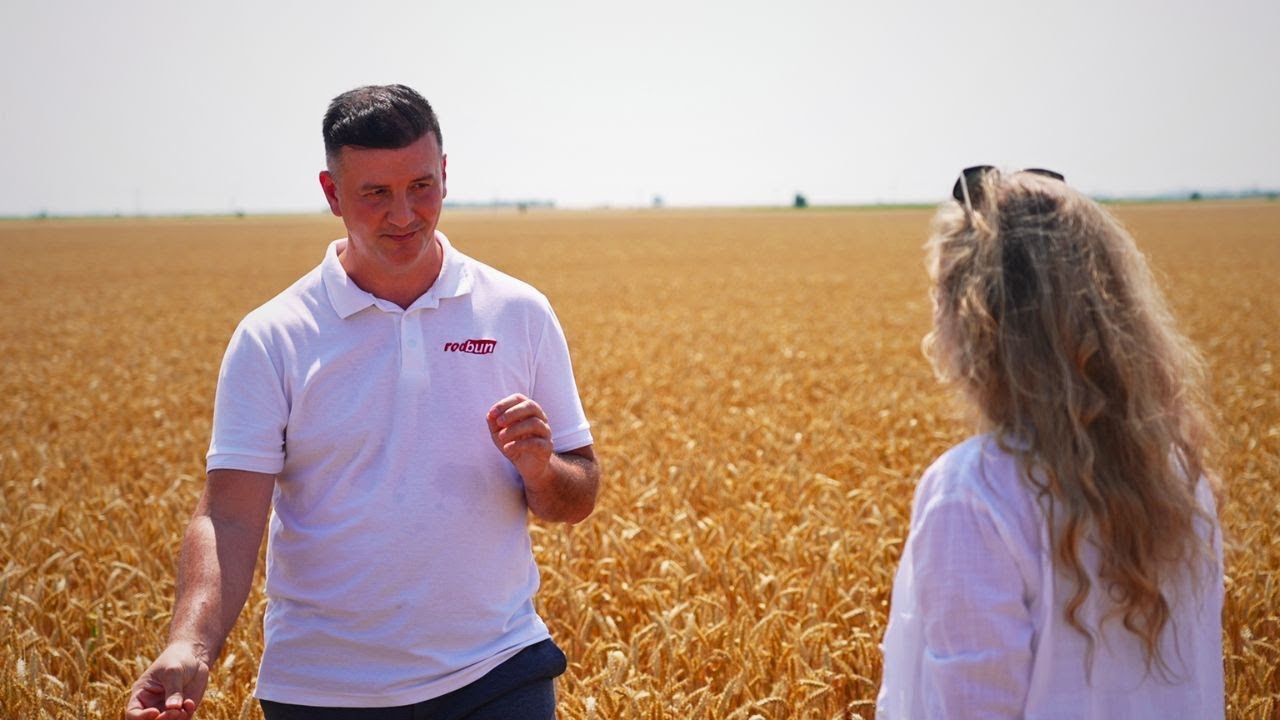 Școala Fermierilor: mici secrete ale grâului