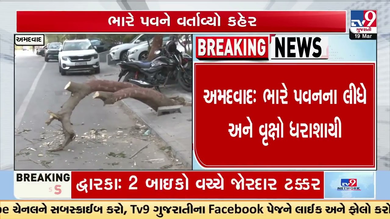AMC teams clear fallen trees amid heavy winds in city | Ahmedabad | TV9Gujarati