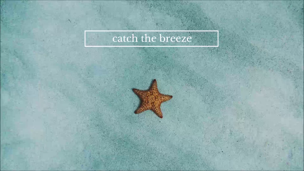 Lauran Hibberd - Old Head Young Shoulders