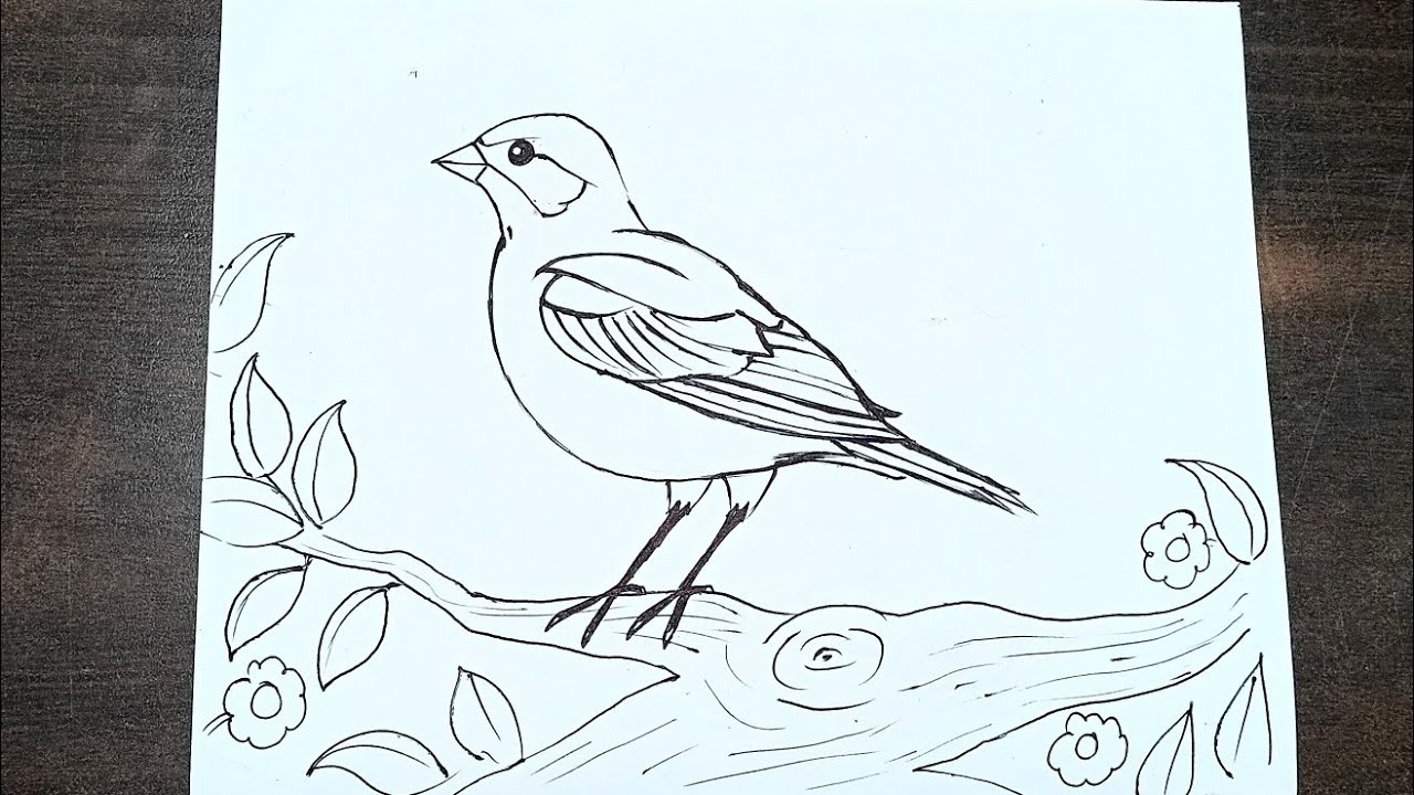 How to draw Bird🐦 Drawing/ Easy Bird drawing step by step 