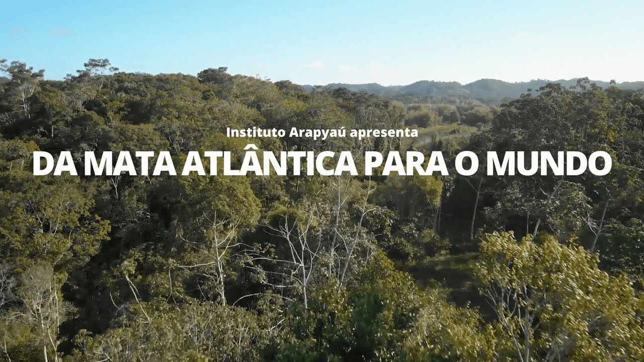 Da Mata Atlântica para o mundo - Minidoc