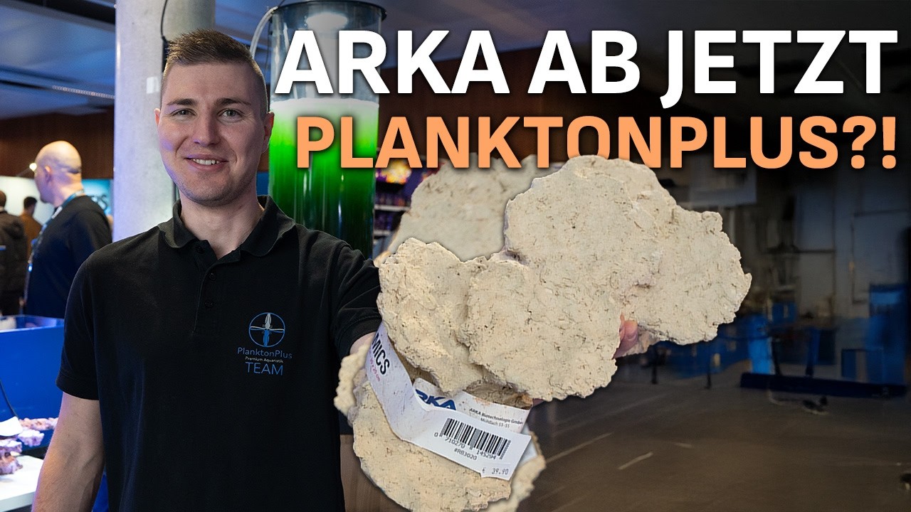 ARKA goes PlanktonPlus Aquaristik?! Die RIFFKERAMIK jetzt bei uns!