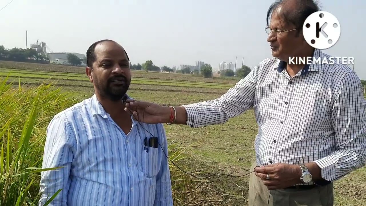 पूसा बासमती 1885 जो कि 1121 का नया प्रारूप है पर चर्चा