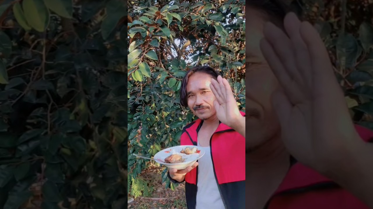 Funny food videos 