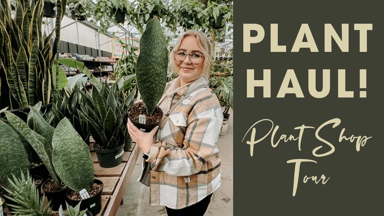 Plant Haul! | Come Plant Shopping with Me at Rose Floral & Greenhouse