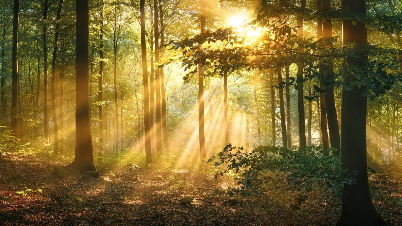 Chatting With Lord Yeshua And Sharing His Christ Light