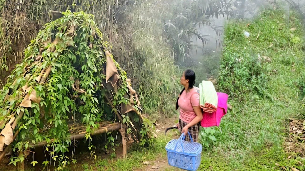 Setting up tents, camping, and cooking in the forest || Dang Luu