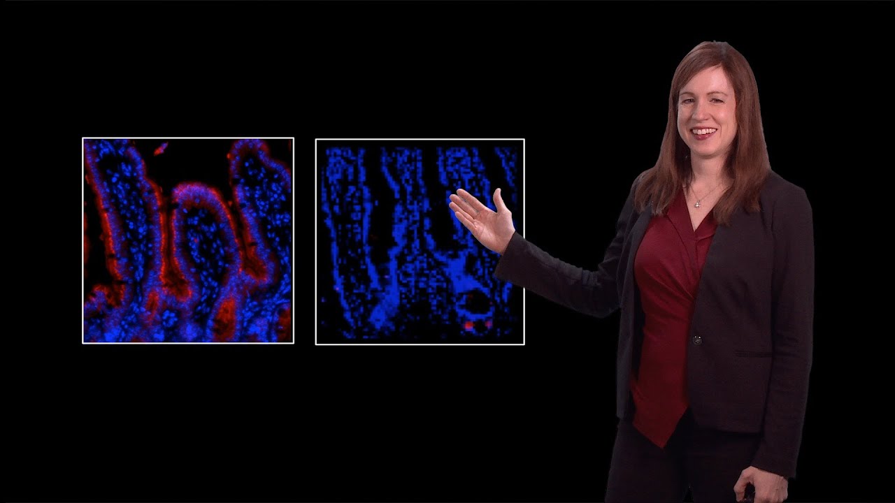 Lora Hooper (UT Southwestern) 2: Mammalian gut microbiota: Maintaining symbiosis in the intestine