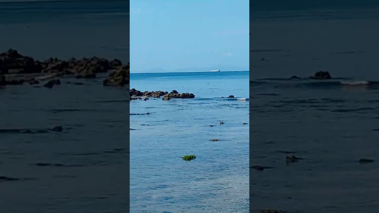 Beautiful morning everyone! 