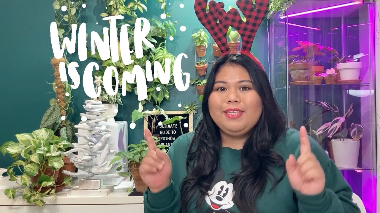 My Winter 2021 Plant Set up & 3 things that upped my PLANT GAME | Day 3 of 12 Days of Plantmas