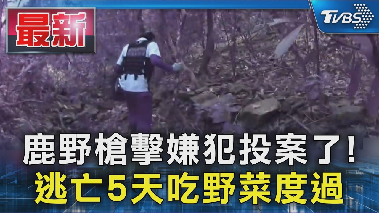 鹿野槍擊嫌犯投案了! 逃亡5天吃野菜度過｜TVBS新聞 @TVBSNEWS01