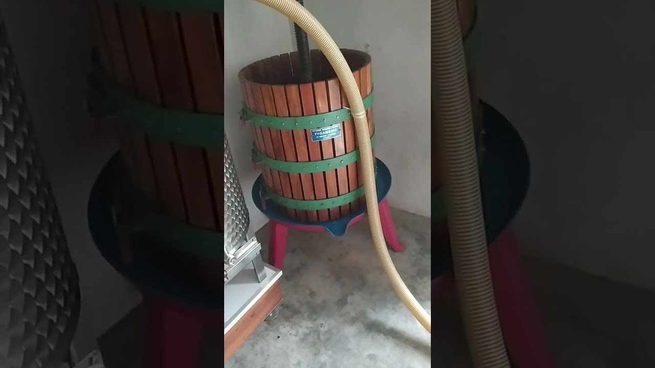 Impianto nuovo vigneto. Episodio 13: La pigiadiraspatura dell'uva