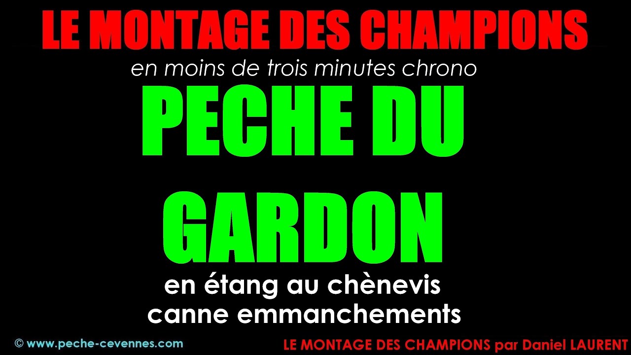 P&ecirc;che du gardon en &eacute;tang au ch&egrave;nevis &agrave; la canne &agrave; emmanchements