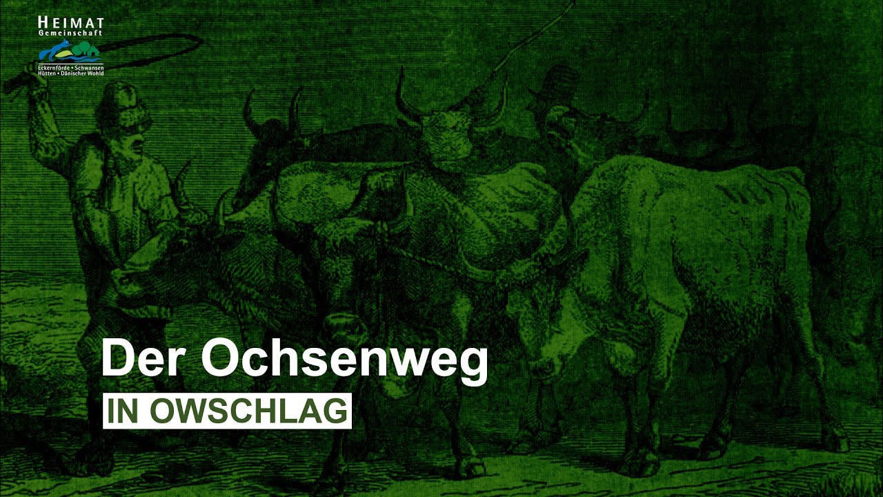 Der Ochsenweg, ein dänischer Heerweg