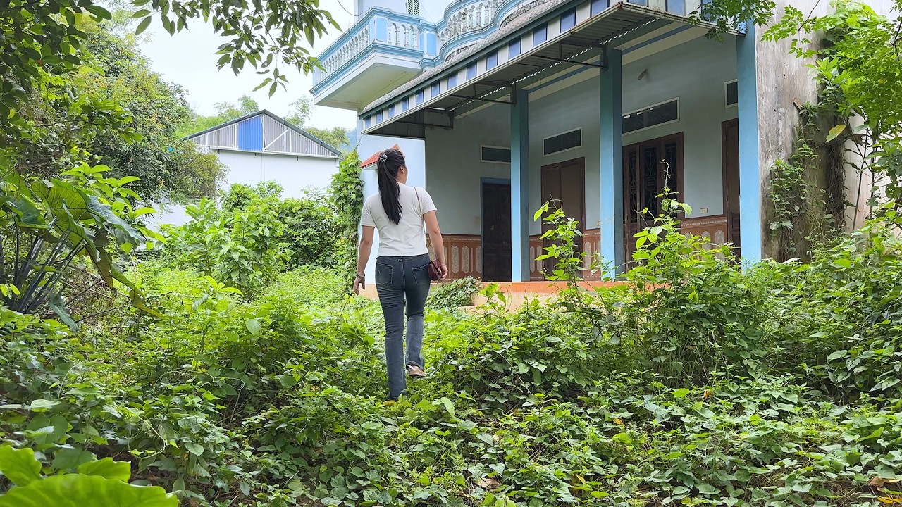Neighbors Amazed as Young Woman Transforms Old $2,600 House into Valuable Asset