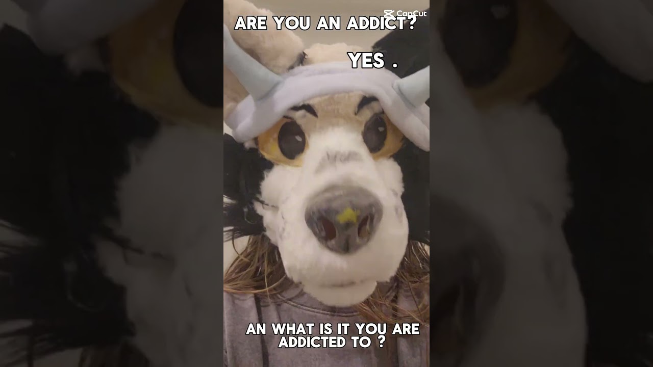 first fursuit head! #furry #fursuit #new #firstfursuit #cool #therian #addict