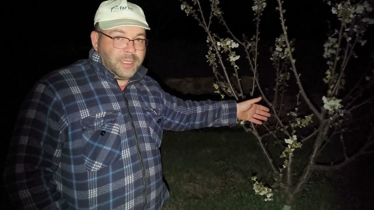 LABORES a PIE de CAMPO 