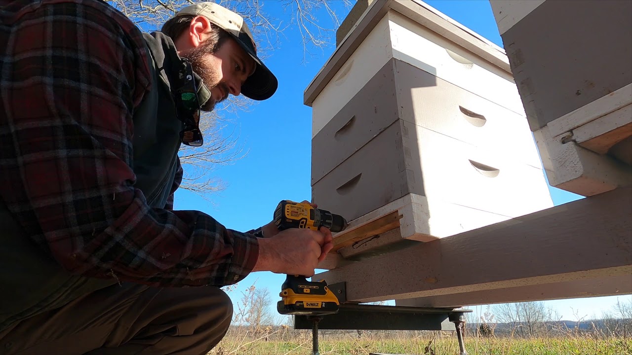 Winter Oxalic Acid Vaporization with Easy Vap - ‘21 Beekeeping #1