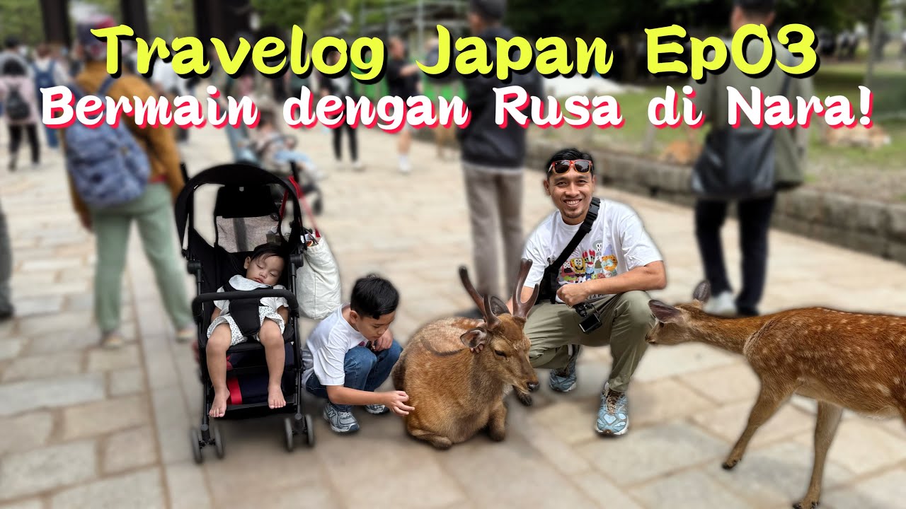 Bermain Rusa dan Mochi paling sedap di Nara - Travelog Japan Ep03