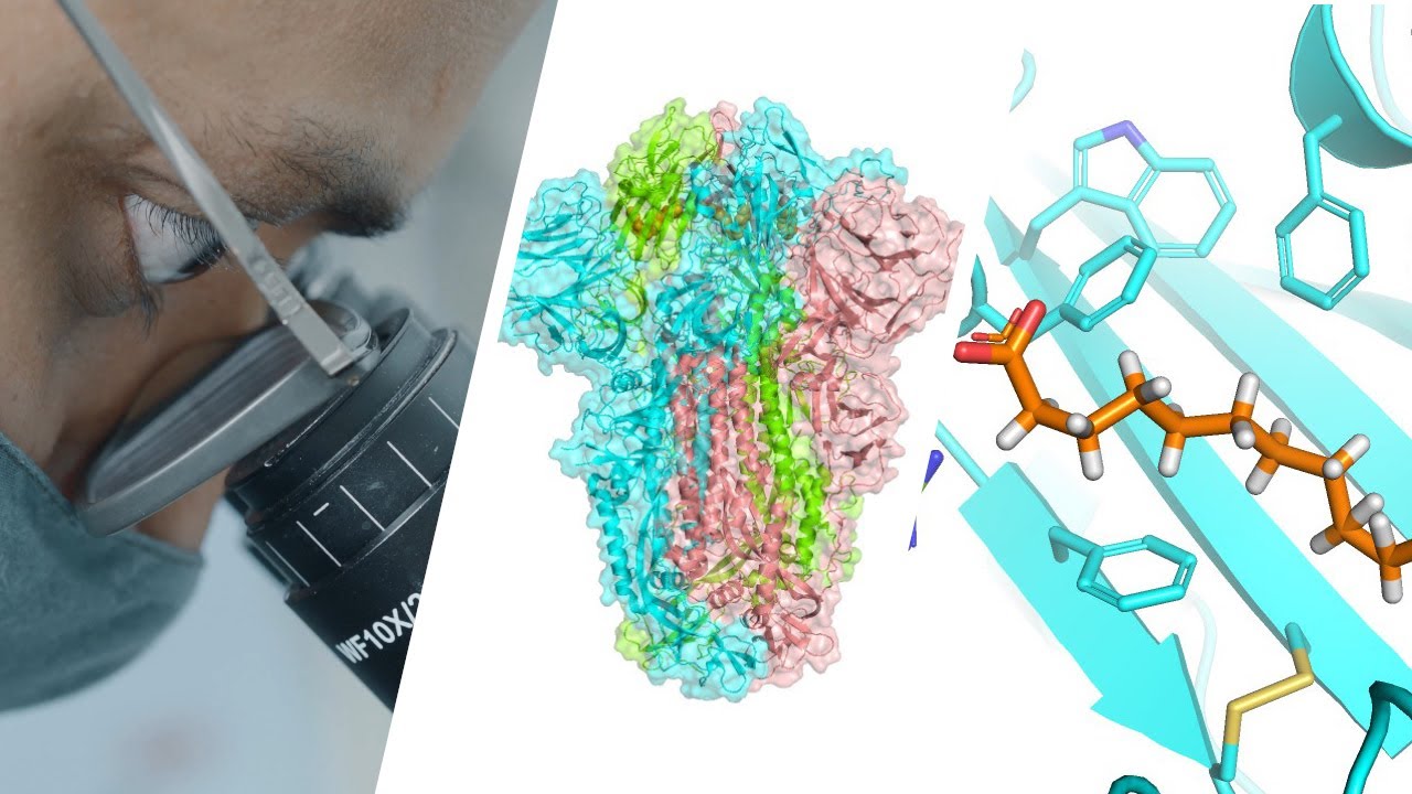 A new drug target in the fight against COVID-19