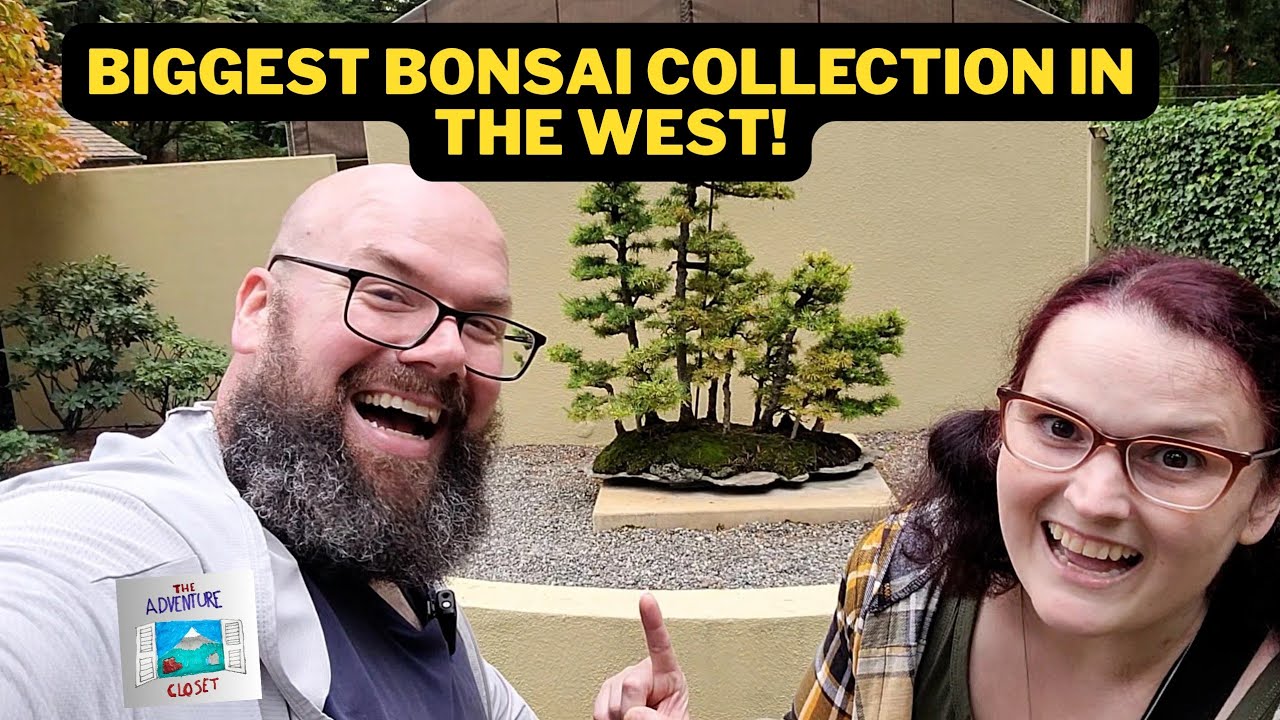 Lets check out the Pacific Bonsai Museum!