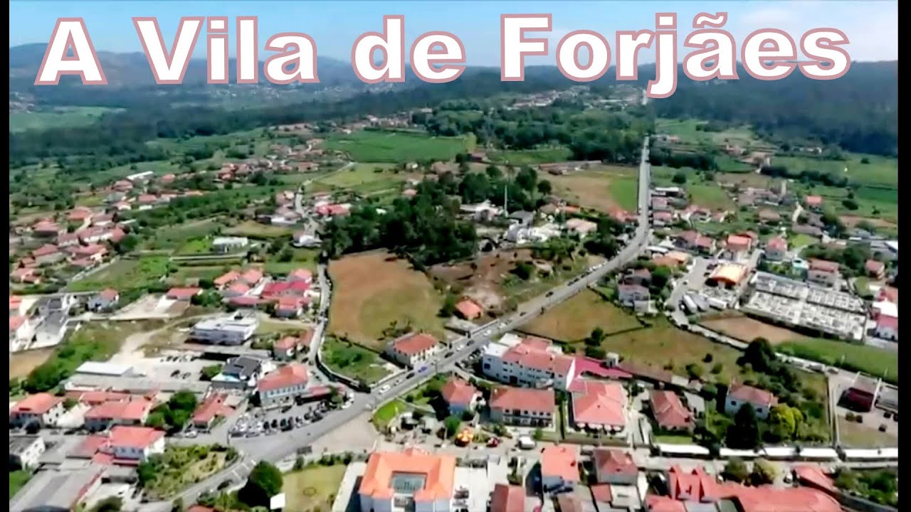 A Vila de Forjães