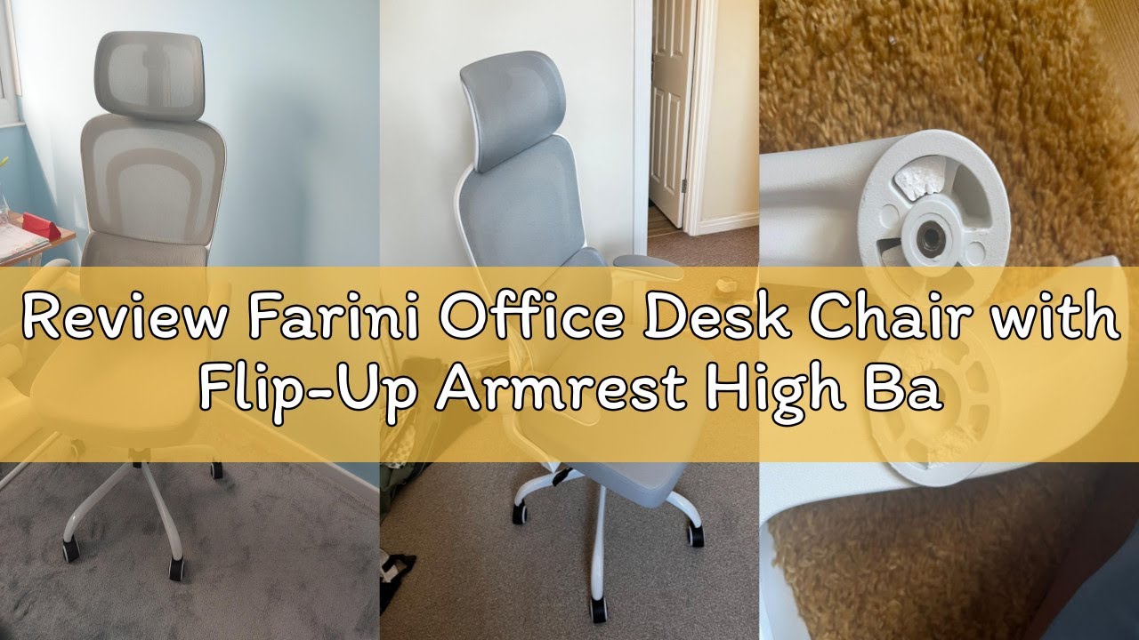 Review Farini Office Desk Chair with Flip-Up Armrest High Back Ergonomic Computer Chair with Adjusta