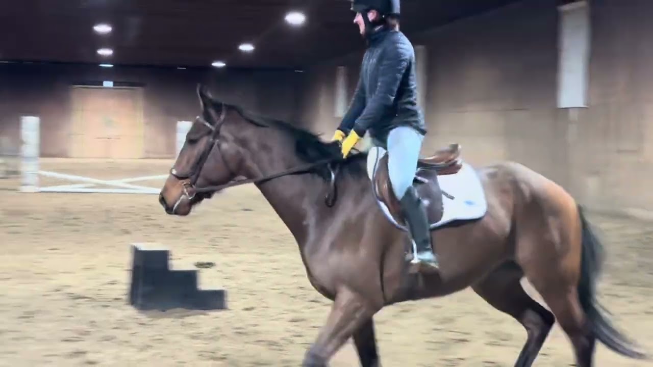 Going Solo first time jumping over a course