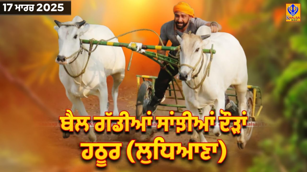 🔴[Live] Hathur | Ludhiana | Punjab |  ਬੈਲ ਗੱਡੀਆਂ ਦੀਆਂ ਸਾਂਝੀਆਂ ਦੌੜਾਂ | Ox Races | 17 March 2025