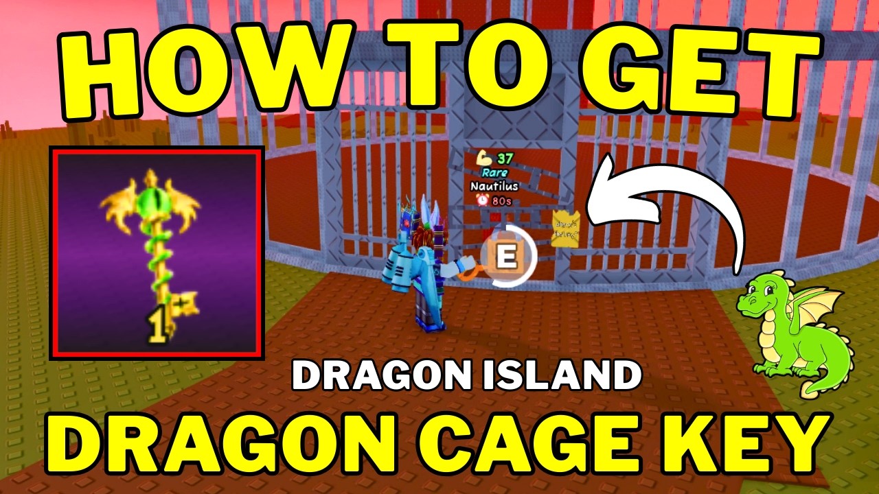 How To Get Dragon Island Cage Key in Catch and Tame | Roblox