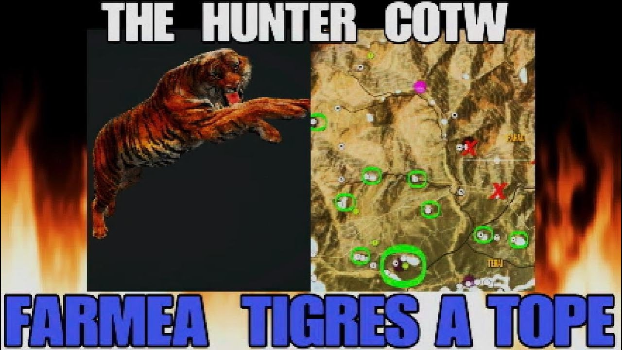 DONDE CAZAR TIGRES ZONAS FUERA DE LOS 3 LAGOS , THE HUNTER COTW Sundarpatan NEPAL Español