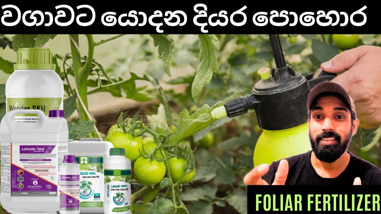වගාවට යෙදන දියර පොහොර, Liquid fertilizer for cultivation.