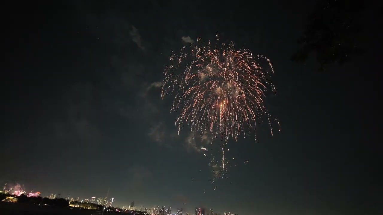 Miami new year firework