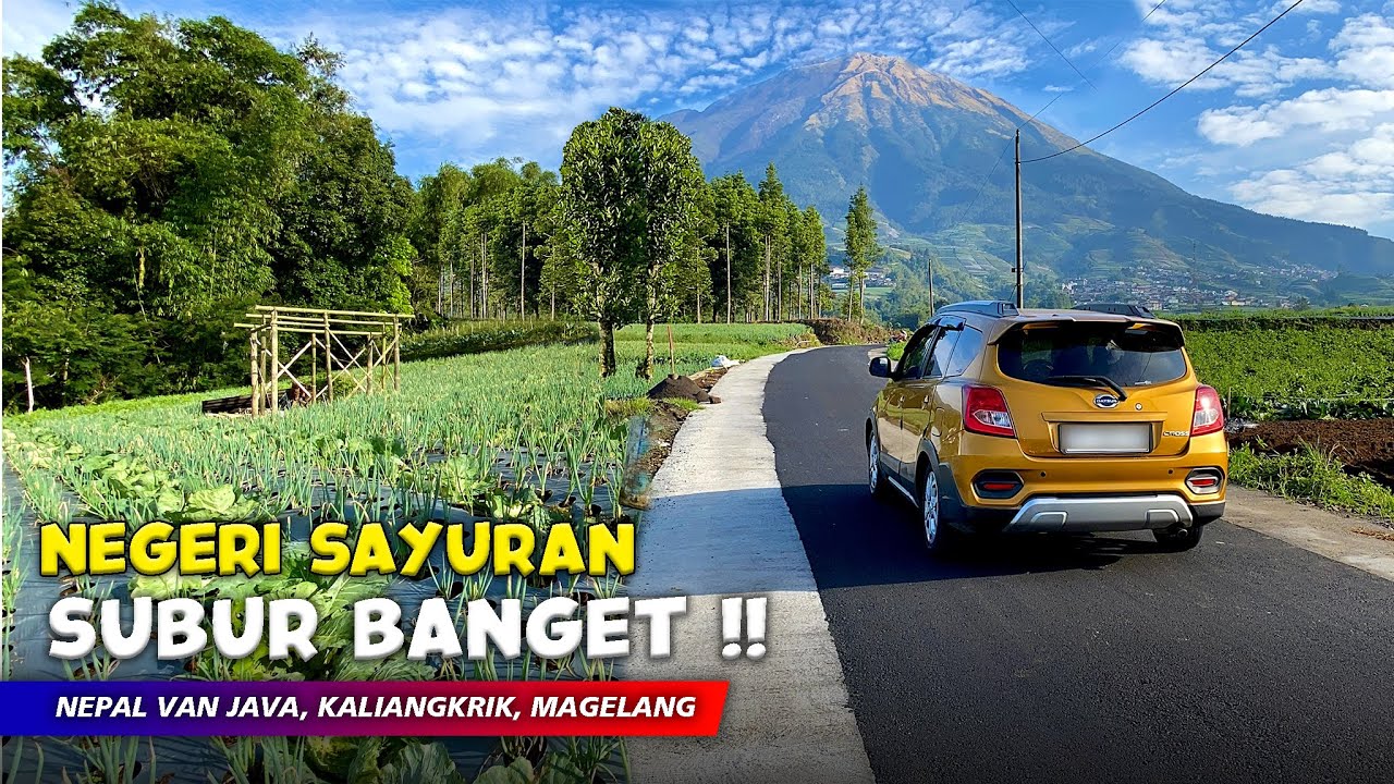 SUBUR BANGET !! SURGA SAYURAN DI DESA NEPAL VAN JAVA DI GUNUNG SUMBING - Cerita Desa Butuh, Magelang