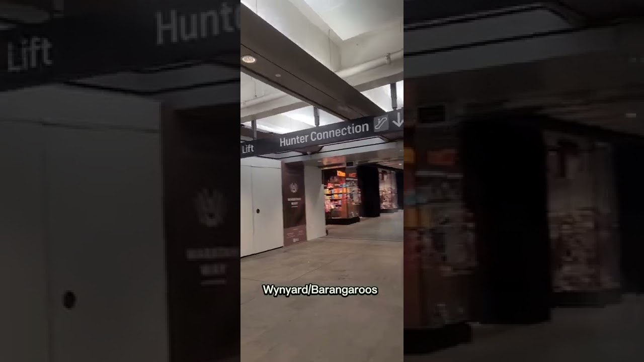 Wynyard / Barangaroos Vibes