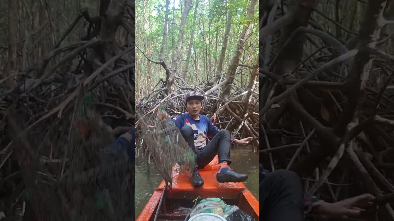 หาปูดำ/ยกลอบep77 1ค่ำ.         #หาปูในป่าชายเลน #crabhunter #viralvideo #ทำมาหากิน 