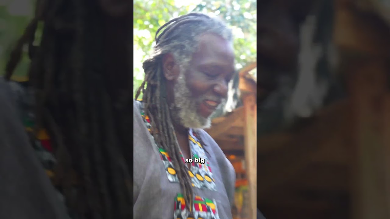 Я провел 24 часа с растаманами на Ямайке 🇯🇲