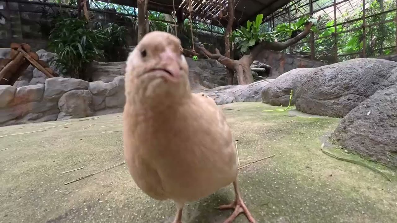 城市中的Farm_Insta360随身VLOG