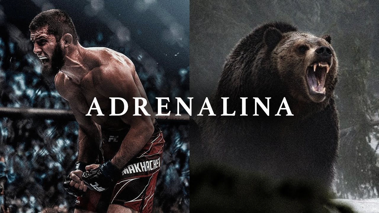 ADRENALINA 3.0 – ¡Los Discursos Motivacionales Más Poderosos Que Escucharás!